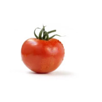 Pomodoro tondo liscio