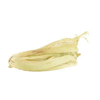CARDI GOBBI PIEMONTE