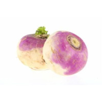 RAPE VIOLA PIEMONTE