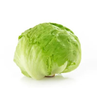 LATTUGA ICEBERG