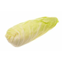 RADICCHIO PANDIZUCCHERO PIEMONTE