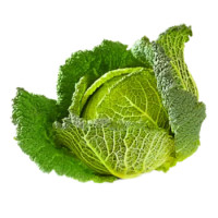 CAVOLI VERZE VERDI PIEMONTE