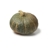 ZUCCA DELICA PIEMONTE