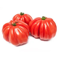 POMODORO CUORE DI BUE PIEMONTE