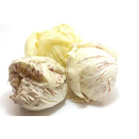 RADICCHIO VARIEGATO