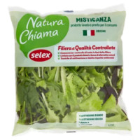 Selex Natura Chiama Misticanza Lavata e Pronta Per Il Consumo 125 g