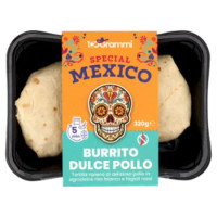 100Grammi Special Mexico Burrito Dulce Pollo 320 g