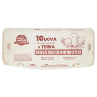 ovo mattino 10 Uova Fresche da allevamento a Terra 500 g