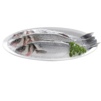 BRANZINO ALLEVATO ITALIA