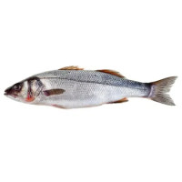 BRANZINO 3/4 ALLEVATO ESTERO