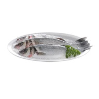 BRANZINO PESCATO