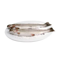TROTA IRIDEA