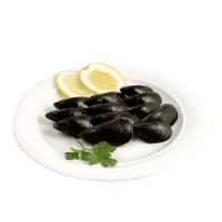 COZZE SPAGNA