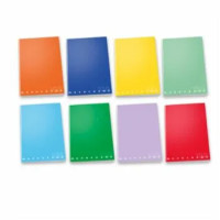 QUADERNO MAXI FORMATO A 4 PIGNA MONOCROMOCENTO RIGATURA 4 MM - COLORE CASUALE