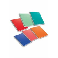 PIGNA QUADERNO SPIRALATO MONOCROMO A QUADRETTI 5MM- COLORE CASUALE