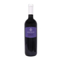 Borgo Palazzi Merlot Trevenezie IGT 75 cl