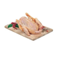 Pollo Con Testa e Zampe