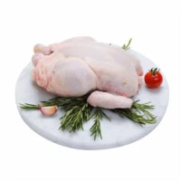 Busto di Pollo