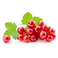 Ribes Rosso Gr.125