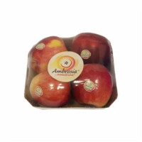 Fragole Sabrosa Candonga Italia 500 g