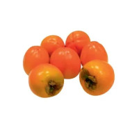 Cacomela Persimon Spagna