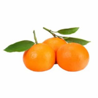 Clementine Con Foglia Italia