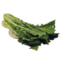 Cicoria Italia