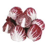 Radicchio Rosso Tondo