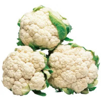 Cavolfiore Bianco Italia
