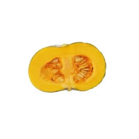 Zucca Vanity Italia