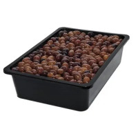 Olive Nere Taggiasche