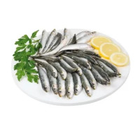 Sardina