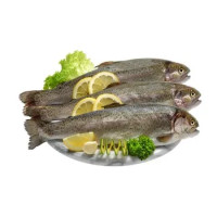 Trota Salmonata