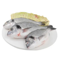 Orata 400/600g