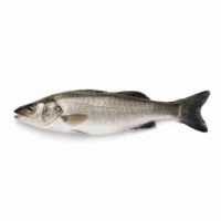 Branzino Italia Cal. 400-600