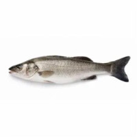 Branzino Italia Cal. 600-800
