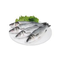 Branzino 400/600