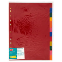 Selex Separatore 12 Colori In Polipropilene