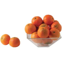 CLEMENTINE FOGLIA