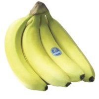 BANANE CHIQUITA