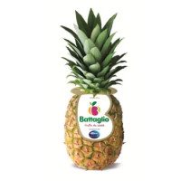 ANANAS SELECTION