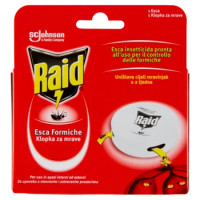 Raid Esca Formiche, Confezione Da 1 Esca Insetticida
