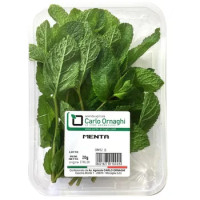 MENTA