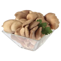 FUNGHI PLEOROTUS G.500