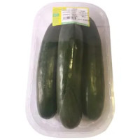 Zucchine Bio
