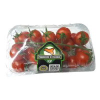 Pomodori Ciliegino Pachino Igp