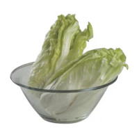 INSALATA CICORIA MILANO
