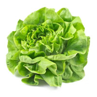 INSALATA GENTILE