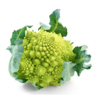 CAVOLI ROMANESCHI