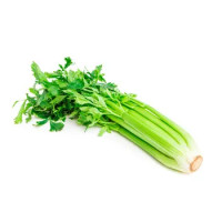 Sedano Verde
